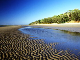 Kinkuna Section - New South Wales Tourism  0