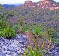 Isla Gorge National Park - New South Wales Tourism 