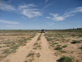 Lake Bindegolly Circuit - New South Wales Tourism  0