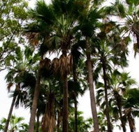 Palm Tree Creek - New South Wales Tourism 