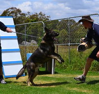 Lawdogs Australia - New South Wales Tourism 