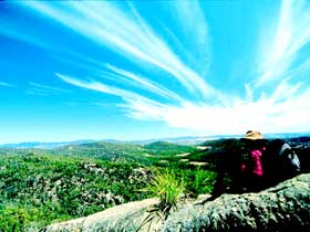 Girraween National Park - New South Wales Tourism  0