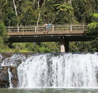 Malanda Falls Conservation Park - New South Wales Tourism 