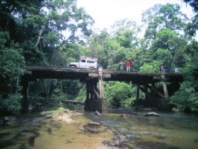Tumoulin QLD New South Wales Tourism 