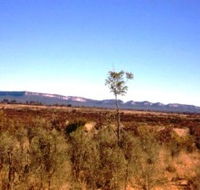 Tambos Wilderness Way - New South Wales Tourism 