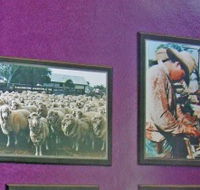 Charleville Photographic Display - New South Wales Tourism 