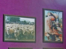 Charleville Photographic Display - New South Wales Tourism  0