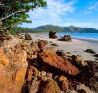 Diversity Boardwalk - New South Wales Tourism 