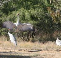 Bulloo River Walk - New South Wales Tourism 