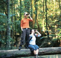 Birdwatching on the Fraser Coast - New South Wales Tourism 