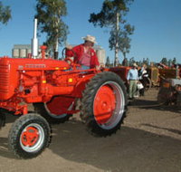 Pioneer Park Museum - Dalby - New South Wales Tourism 