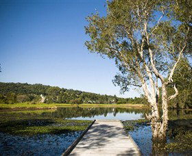 Eagleby Wetlands - New South Wales Tourism  0
