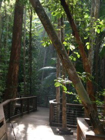 Basin Lake Track - New South Wales Tourism  0