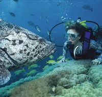 Pelorus Island - New South Wales Tourism 