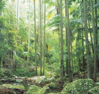 Python Rock - New South Wales Tourism 
