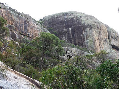 Mount Walsh National Park - New South Wales Tourism  0