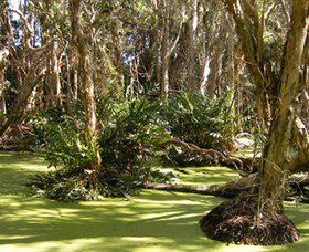 Arkarra Lagoons And Tea Gardens - New South Wales Tourism  0