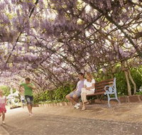 Laurel Bank Park - New South Wales Tourism 