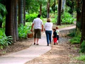 Emerald Botanic Gardens - New South Wales Tourism  0