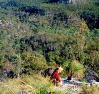 Expedition National Park - New South Wales Tourism 