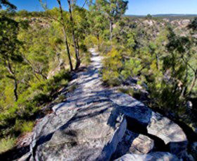 Camboon QLD New South Wales Tourism 