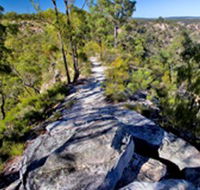 Isla Gorge Lookout - New South Wales Tourism 
