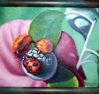 Kingaroy Shire Art Gallery - New South Wales Tourism 