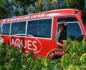 Jaques Coffee Plantation - New South Wales Tourism  0