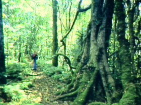 Mt Superbus - New South Wales Tourism  0