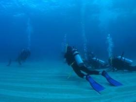 Egg Rock Dive Site - New South Wales Tourism  0