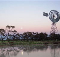 Moorrinya National Park - New South Wales Tourism 