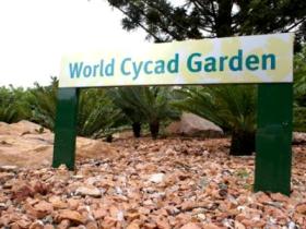 Anderson Park Botanic Gardens - New South Wales Tourism  0