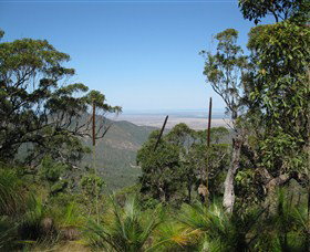 Zamia Walk - New South Wales Tourism  0