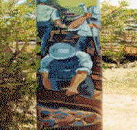 Alpha Murals - New South Wales Tourism 