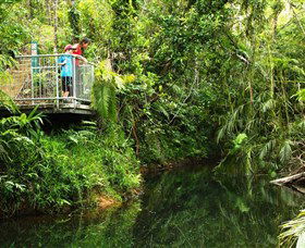 Djiru National Park - New South Wales Tourism  0