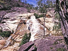 Emerald Creek Falls - New South Wales Tourism  0