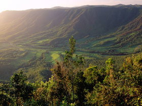 Pine Grove Circuit - New South Wales Tourism  0