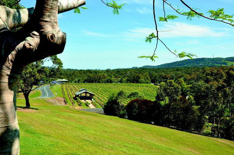 Sirromet Winery - New South Wales Tourism  0