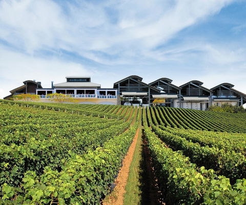 Sirromet Winery - New South Wales Tourism  12
