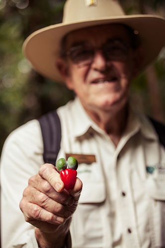Tondoon Botanic Gardens - New South Wales Tourism  1