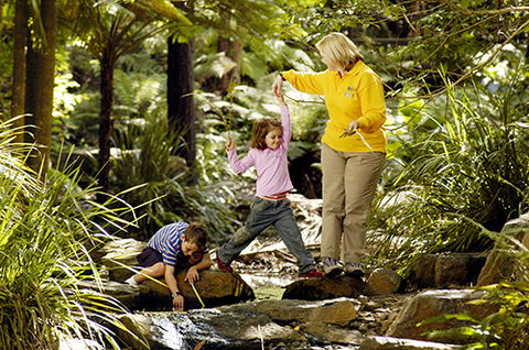 Tondoon Botanic Gardens - New South Wales Tourism  2