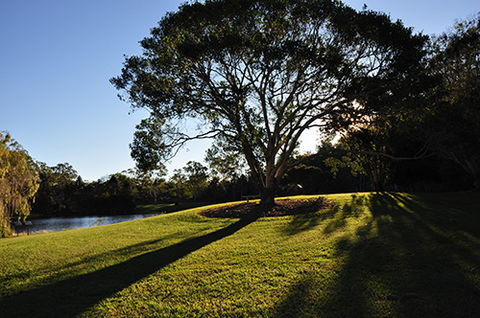 Tondoon Botanic Gardens - New South Wales Tourism  4