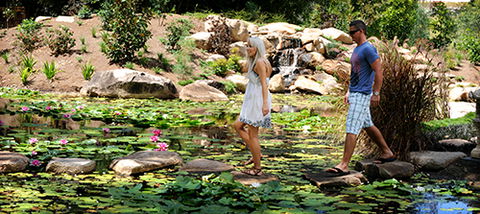 Tondoon Botanic Gardens - New South Wales Tourism  7