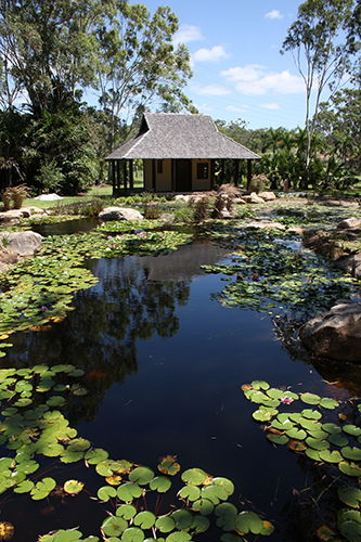 Tondoon Botanic Gardens - New South Wales Tourism  8