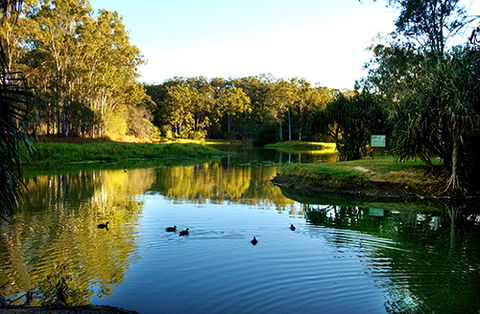 Tondoon Botanic Gardens - New South Wales Tourism  9