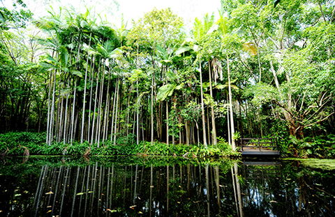 Tondoon Botanic Gardens - New South Wales Tourism  11