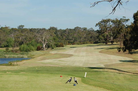 Devilbend Golf Club - New South Wales Tourism  1