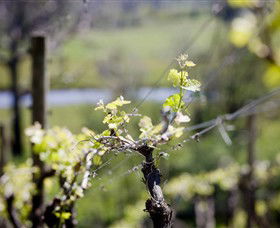 Dalfarras - New South Wales Tourism  0