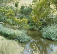 Yarrambat Park - New South Wales Tourism 
