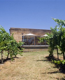 Shantell Vineyard - New South Wales Tourism  0